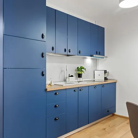 Apartament Herman Park View Cozy