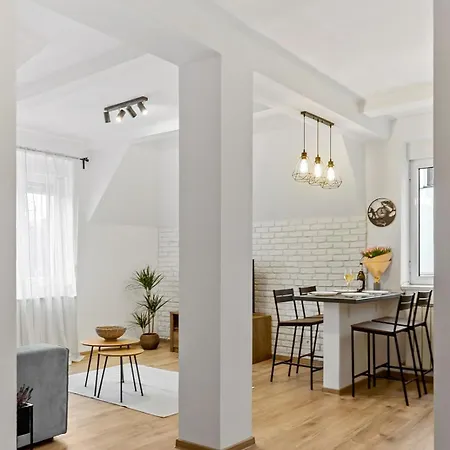 דירה Herman Park View Cozy 1