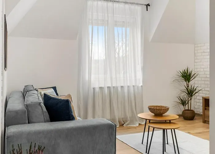 Apartment Herman Park View Cozy 1